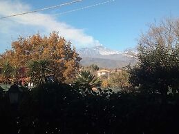 Gli Ulivi dell'Etna