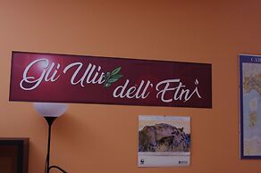 Gli Ulivi dell'Etna