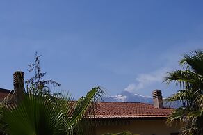 Gli Ulivi dell'Etna