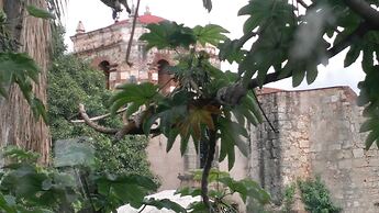 Hostal Arboleda