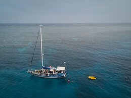 Coral Sea Dreaming Dive and Sail