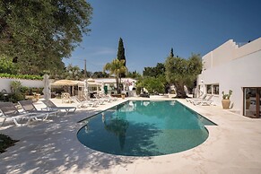B&B Antico Ulivo