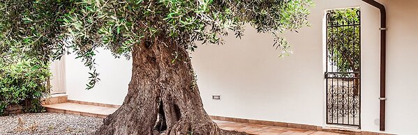 B&B Antico Ulivo