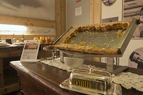 Apartments Suites LAC BLEU