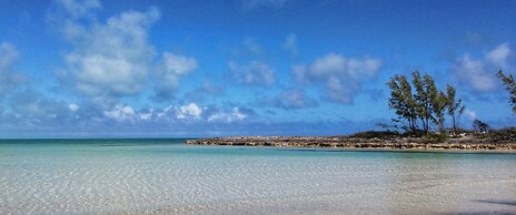 Treasures of Andros