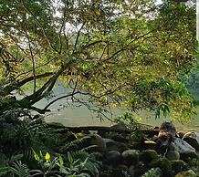 Kuyana Amazon Lodge