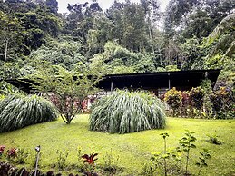 Kuyana Amazon Lodge