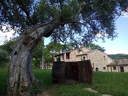 La Collina Degli Ulivi