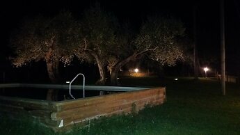La Collina Degli Ulivi