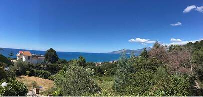 La Bouganville