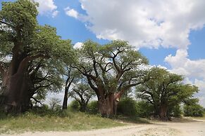 Leopard Plains
