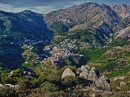 O Vicente
