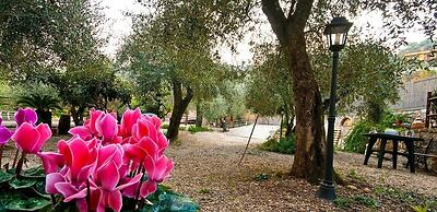 Locanda dei Boi