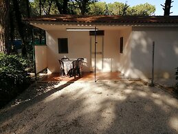 Parco delle Viole