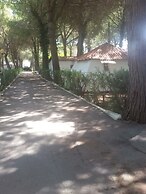 Parco delle Viole