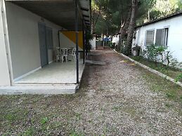Parco delle Viole
