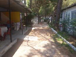 Parco delle Viole