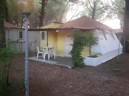 Parco delle Viole