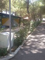 Parco delle Viole