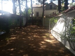 Parco delle Viole