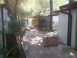 Parco delle Viole