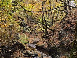 Ecokayan Dilijan Resort Hotel