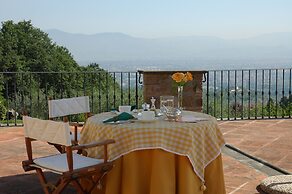 Tenuta le Viiste