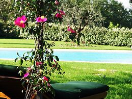 Tenuta le Viiste