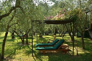 Tenuta le Viiste
