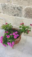 B&B La Casetta