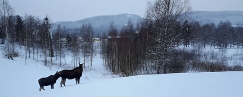 Knut's Camping och Lägenheter