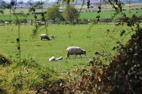 Elmfield House B&B