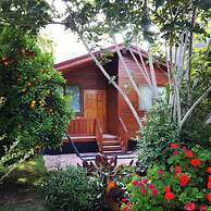 Asya Bungalow