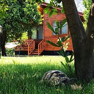 Asya Bungalow