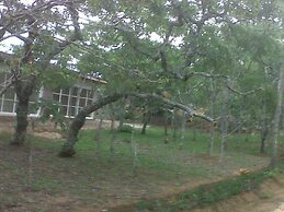 Nora Valley Lodge