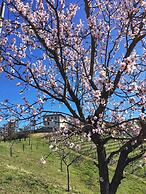Cascina Baresane
