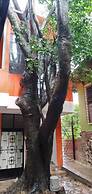 Hostal Doña Marta