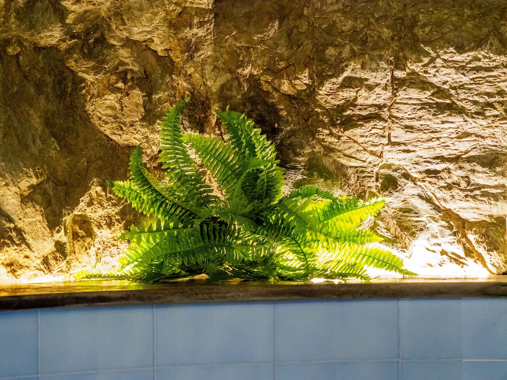 Casa Pina Family Apartment