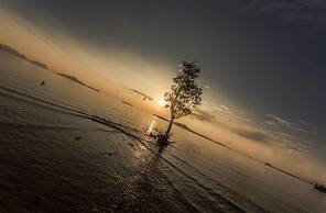 Deep House Seaview