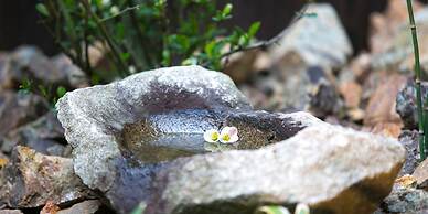 Nijo Yu-Rakukan