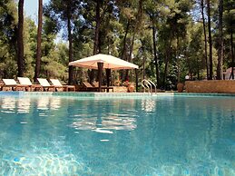 Sani Cape Villas - Stamatiadis