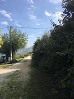 Agriturismo Serena
