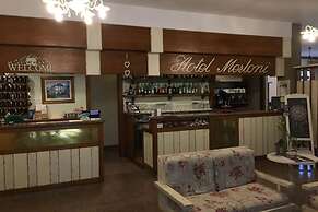 Hotel Merloni
