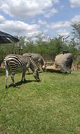 Warthogs Safari Camp