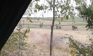 Warthogs Safari Camp