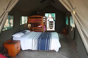 Warthogs Safari Camp