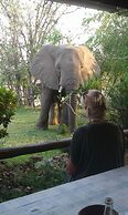 Warthogs Safari Camp
