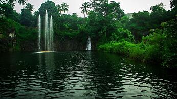 Athirapilly Green Trees