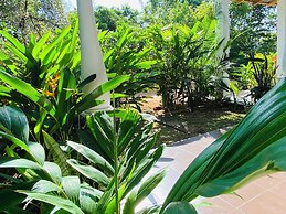 Fairview Dill homestay