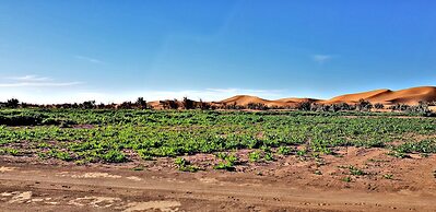 Kasbah Les Alizes Du Desert